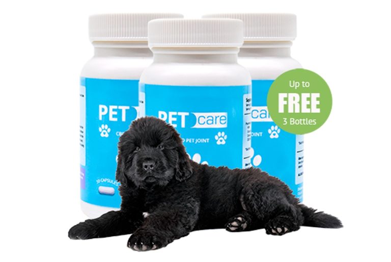 CBD Pet CARE Gummies for Anxiety, Stress, Pain Relief & Seizure Control (100% Pure)